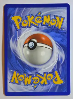 Salamence ex 177/159 Ultra Rare Journey Together Pokemon TCG & Bonus Card - Image 3