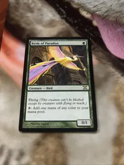 Birds Of Paradise 10th Edition MP - Image 1