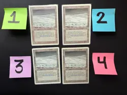 4x Tundra - Revised Edition Dual Land Playset - MP/HP Condition - MTG - 1994 - Image 1