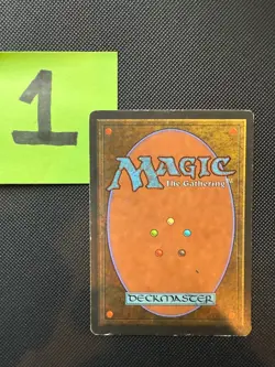 4x Tundra - Revised Edition Dual Land Playset - MP/HP Condition - MTG - 1994 - Image 3