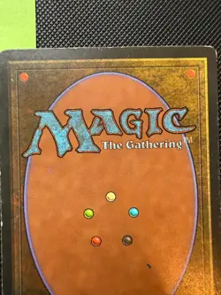 4x Tundra - Revised Edition Dual Land Playset - MP/HP Condition - MTG - 1994 - Image 4