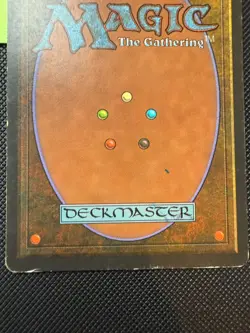 4x Tundra - Revised Edition Dual Land Playset - MP/HP Condition - MTG - 1994 - Image 5