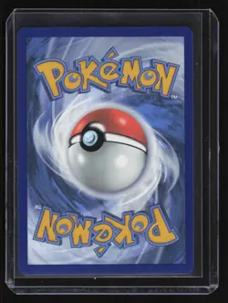 Pokemon Promo #006 Pawmot Holo Card CHD - Image 2