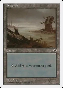 Swamp (B) Anthologies NM Basic Land MAGIC THE GATHERING MTG CARD ABUGames - Image 1