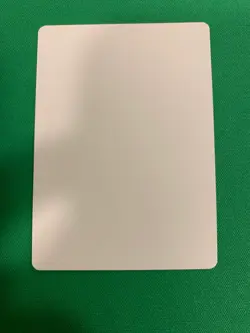 MTG Magic Erithizon Signed Artist Proof x1 Mercadian Masque Fischer - Image 2