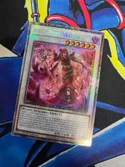 Rage Rose Witch - Starlight Rare - DOOD-EN040 - 1st Edition - NM - Yugioh - Image 1