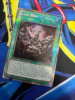 Black Rose Garden - Starlight Rare - DOOD-EN055 - 1st Edition - NM - Yugioh - Image 1