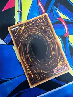 Black Rose Garden - Starlight Rare - DOOD-EN055 - 1st Edition - NM - Yugioh - Image 2