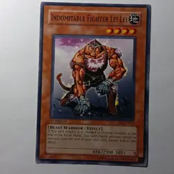 Indomitable Fighter Lei Lei CRV-EN023 Cybernetic Revolution Unlimited - Image 1