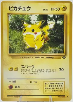 Pokemon Pikachu No.25 Jungle Set Regular (Japanese) - Image 1