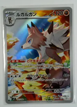 Pokemon Japanese Illustration rare Card Lot Of 9 - CLEFAIRY WAILORD EEVEE EX - Image 2