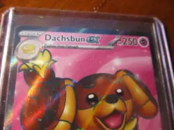 Dachsbun ex - 160/142 - Pokemon TCG Stellar Crown (2024) - NM - Full Art - HOLO - Image 2