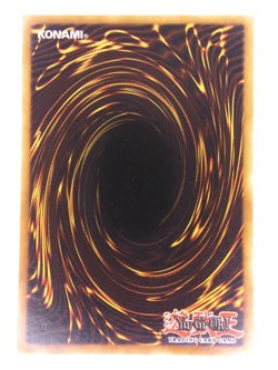 Yugioh / Mist Valley Apex Avian / DT02-EN079 / Duel Terminal / Rare / (LP-NM) - Image 2