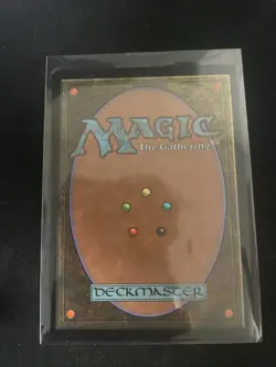 MTG Wakka, Devoted Guardian MINT Borderless Chocobo Track FOIL Final Fantasy - Image 2