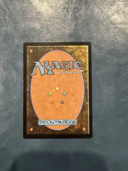 Sunken Ruins - FIC #430 | NORMAL | NM | MTG - Image 2