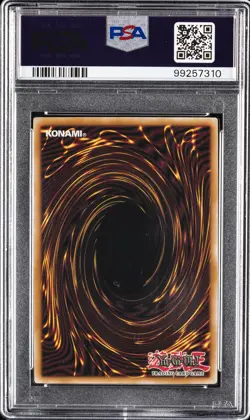 2010 YU-GI-OH! TSHD-THE SHINING DARKNESS #EN040 BLACK-WINGED DRAGON PSA 10 - Image 2
