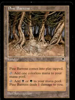 Pine Barrens Tempest Light Play MTG Magic the Gathering - Image 1