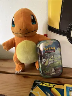 My Entire Pokemon Collection With Over 110+ Cards, Plushies, XL Cards, And Merch - Image 2