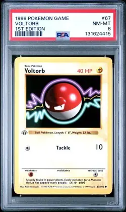 Base Set 1st Edition VOLTORB #67/102 PSA 8 1999 Pokemon Card Game - Image 1