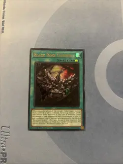 Black Rose Garden DOOD-EN055 Ultra Rare 1st Edition Near Mint Yu-Gi-Oh! - Image 1