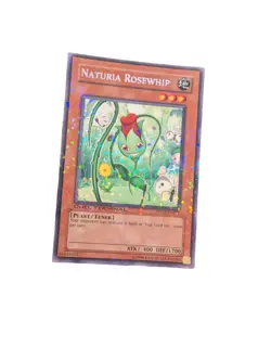 Yu-Gi-Oh Holographic Holo Lot Of 20 Cards All Holo - Image 5