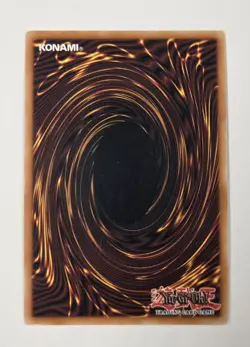 Yu-Gi-Oh! Ancient Forest - ANPR-EN048 - 1st Edition - Rare Card YuGiOh card - Image 2