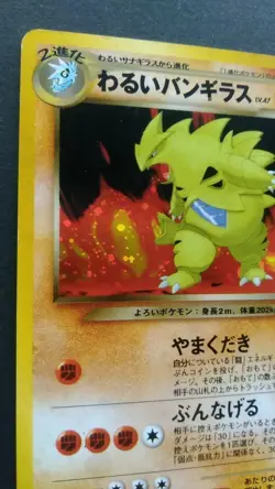 Dark Tyranitar Pokemon Card Japanese Nintendo Game Rare No. 248 Neo Destiny Holo - Image 2