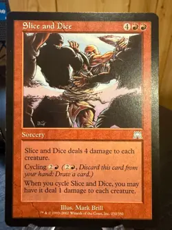 MTG Magic the Gathering Onslaught Slice and Dice - Image 1