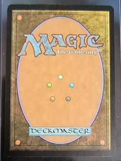 Magic MTG - Seedcradle Witch - Shadowmoor - Image 2