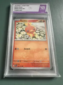 Torchic 022/159 Rare Non Holo Journey Together Pokemon TCG 10 Gem Mint - Image 1