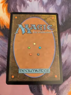 MTG Mystic Remora BORDERLESS 0016 TLE (NON-FOIL) - Image 2