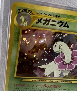 MEGANIUM Holo Premium File 154 Japanese Pokemon TCG PSA 9 Mint - Image 3