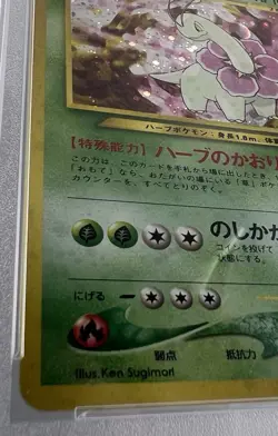 MEGANIUM Holo Premium File 154 Japanese Pokemon TCG PSA 9 Mint - Image 5