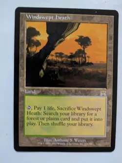 Windswept Heath Onslaught MTG NM Free shipping with tracking - Image 1