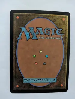 Windswept Heath Onslaught MTG NM Free shipping with tracking - Image 2