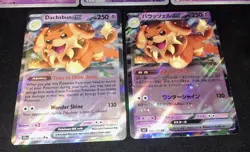 Fidough Dachsbun Pokemon TCG Collection Set of 5- 4 English 1 JP EX R-Holo NM/M - Image 4