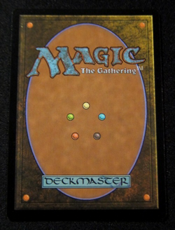 MTG FOIL MISTY RAINFOREST Land Zendikar Rising Expeditions - Image 2