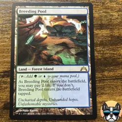 Magic the Gathering MTG- Breeding Pool- NM- 240/249- Gatecrash - Image 1