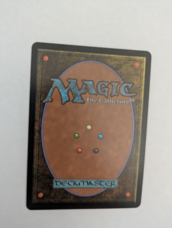 Food Chain Mercadian Masques MTG NM Free shippping with tracking - Image 2