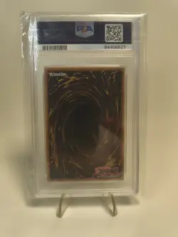 PSA 8 - Dark Rebellion XYZ Dragon - Ghost Rare - 2025 Yu-Gi-Oh! NECH #EN053 - Image 2