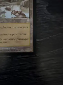 Yavimaya Hollow Urza's Destiny Regular - Image 4