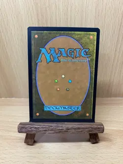 Stormcarved Coast - NM - VOW 265 MTG Magic The Gathering - Image 2