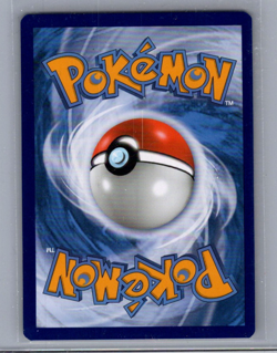 Squirtle Promo SWSH233 Pokemon TCG Sword & Shield Promo Card NM - Image 2