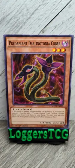 Yu-Gi-Oh! Predaplant Darlingtonia Cobra / MACR-EN010 1st Edition LP - Image 1