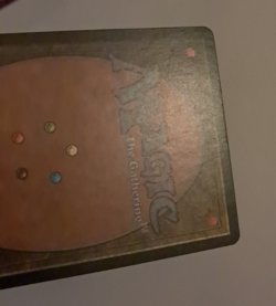 Rayne, Academy Chancellor LP MTG Magic the Gathering Urza's Destiny - Image 5