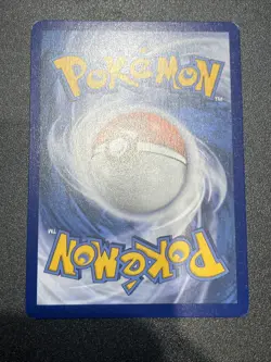 Bloodmoon Ursaluna EX 202/167 Ultra Rare NM/M Twilight Masquerade Pokemon TCG A - Image 4