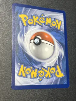Bloodmoon Ursaluna EX 202/167 Ultra Rare NM/M Twilight Masquerade Pokemon TCG A - Image 5