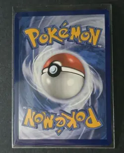 Horsea SVP 137 Black Star Promo Stellar Crown Pokemon Card NM - Image 2