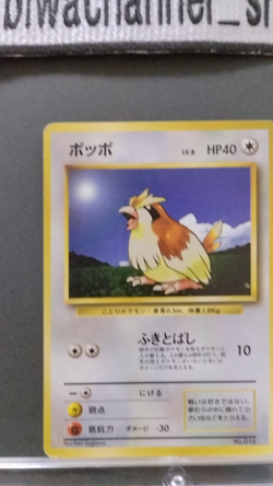 Pokemon Card Pidgey No.016 Base Set Japanese 1996 Old Back "No Rarity Symbol" - Image 2