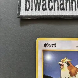 Pokemon Card Pidgey No.016 Base Set Japanese 1996 Old Back "No Rarity Symbol" - Image 4